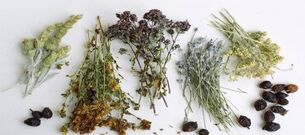Infusion of the collection of dry plant materials