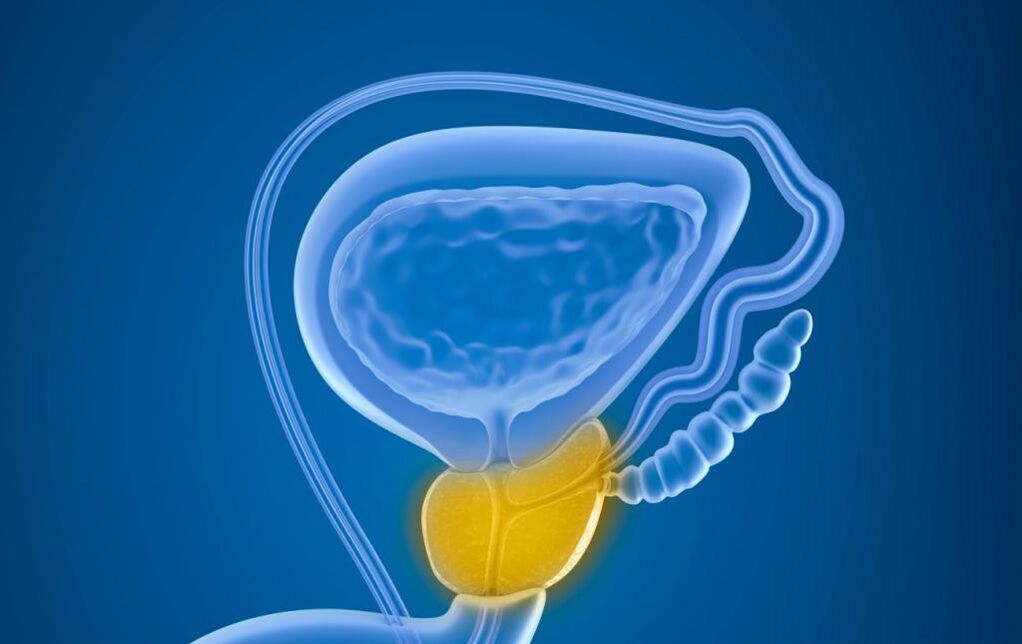 Prostate